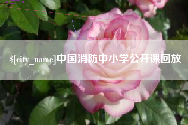 和田中国消防中小学公开课回放