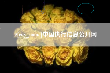 和田中国执行信息公开网