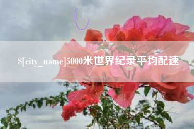 和田5000米世界纪录平均配速