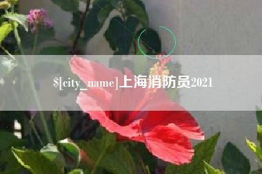 和田上海消防员2021