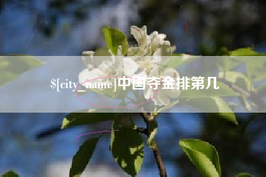 和田中国夺金排第几