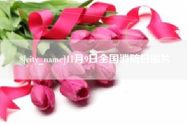 和田11月9日全国消防日图片