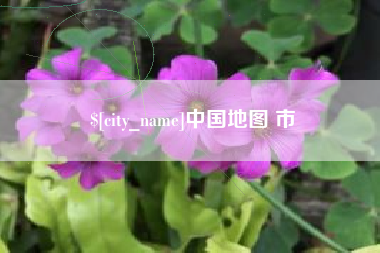 和田中国地图 市