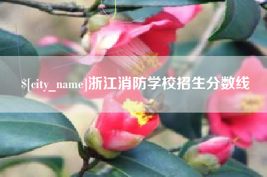 和田浙江消防学校招生分数线