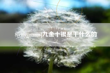 和田九金十银是干什么的