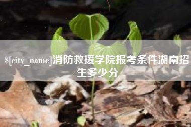 和田消防救援学院报考条件湖南招生多少分