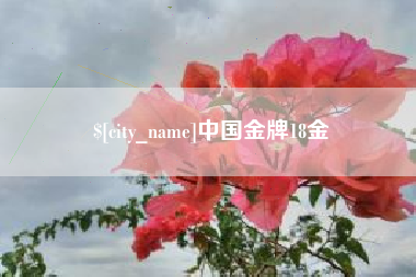 和田中国金牌18金