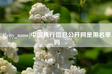 和田中国执行信息公开网是黑名单吗