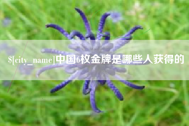 和田中国6枚金牌是哪些人获得的