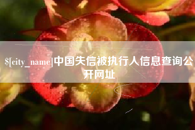 和田中国失信被执行人信息查询公开网址