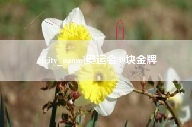 和田奥运会39块金牌