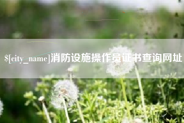 和田消防设施操作员证书查询网址