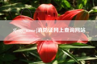 和田消防证网上查询网站