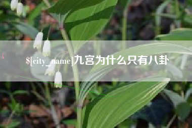 和田九宫为什么只有八卦