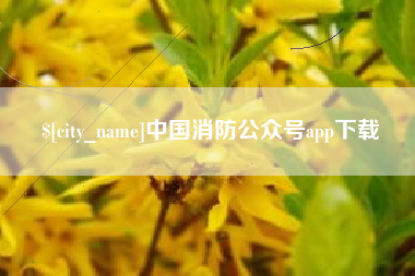 和田中国消防公众号app下载