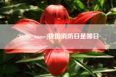 和田我国消防日是哪日