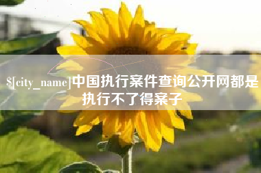 和田中国执行案件查询公开网都是执行不了得案子