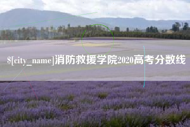 和田消防救援学院2020高考分数线