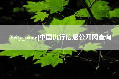 和田中国执行信息公开网查询