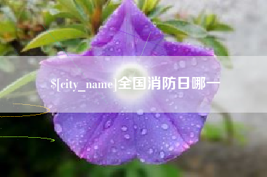 和田全国消防日哪一