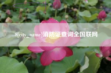 和田消防证查询全国联网