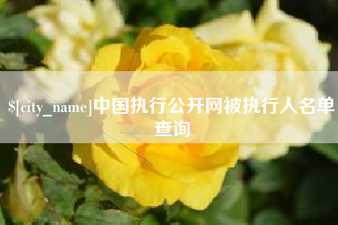 和田中国执行公开网被执行人名单查询