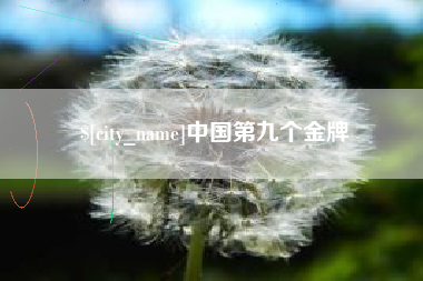 和田中国第九个金牌