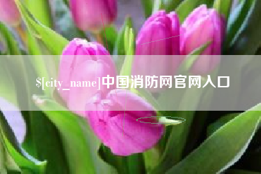 和田中国消防网官网入口
