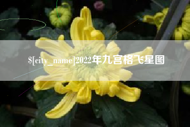 和田2022年九宫格飞星图