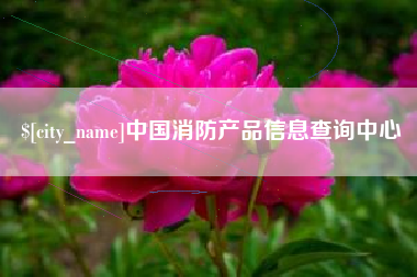 和田中国消防产品信息查询中心