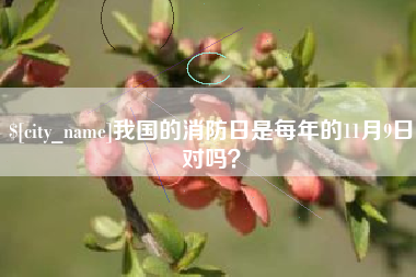 和田我国的消防日是每年的11月9日对吗？