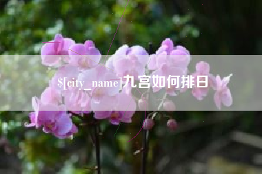和田九宫如何排日
