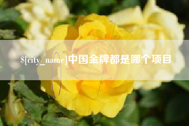 和田中国金牌都是哪个项目