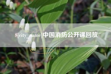 和田中国消防公开课回放