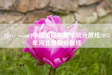 和田中国消防救援学院分数线2023年河北录取分数线