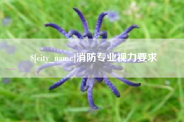 和田消防专业视力要求