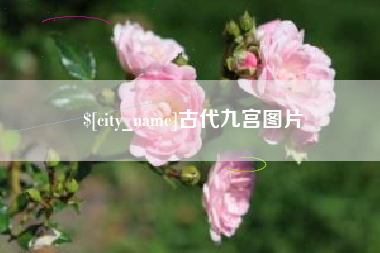 和田古代九宫图片