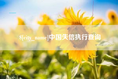 和田中国失信执行查询
