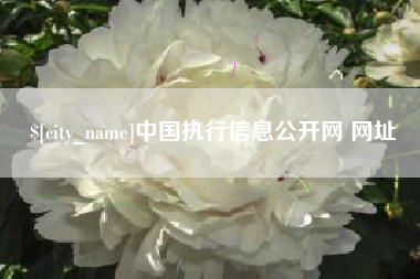 和田中国执行信息公开网 网址