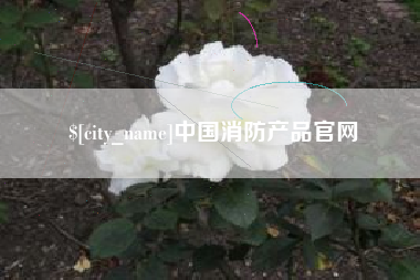 和田中国消防产品官网