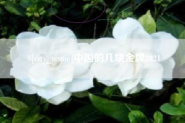 和田中国的几块金牌2021