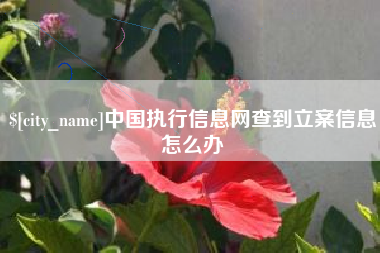 和田中国执行信息网查到立案信息怎么办