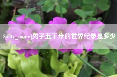 和田男子五千米的世界纪录是多少