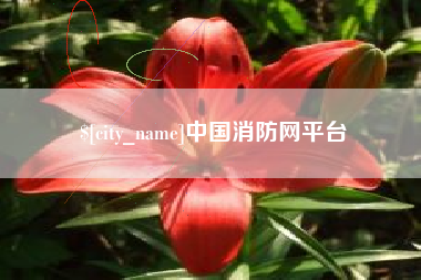 和田中国消防网平台