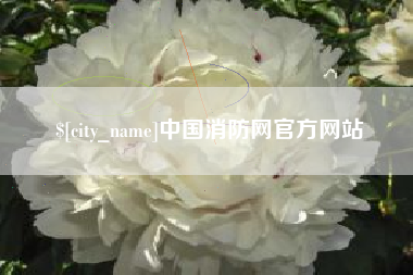 和田中国消防网官方网站