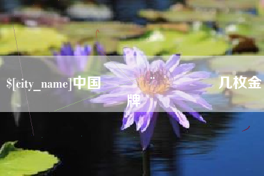 和田中国🇨🇳几枚金牌