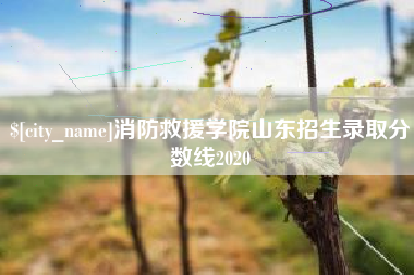 和田消防救援学院山东招生录取分数线2020