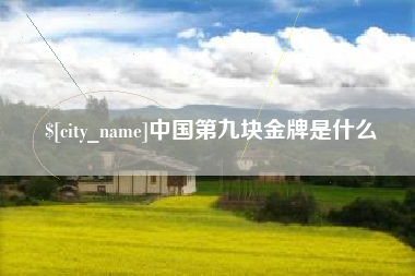和田中国第九块金牌是什么