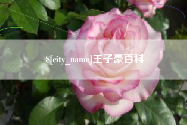 和田王子豪百科
