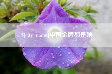 和田中国金牌都是啥